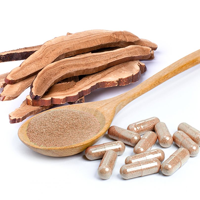 Professional & Reliable: